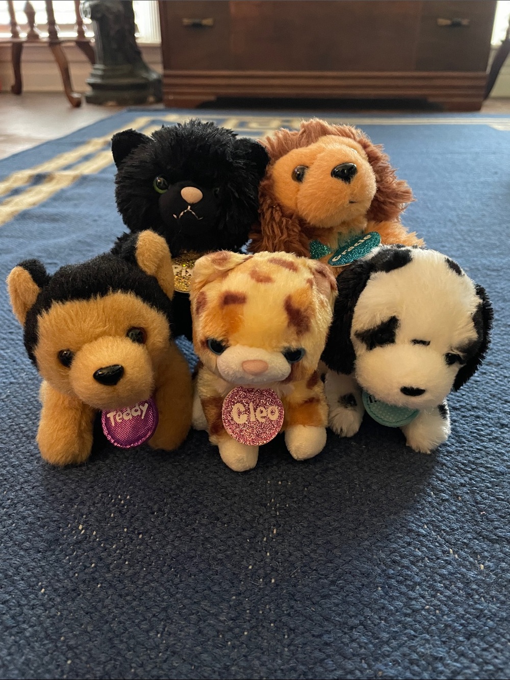 5 Plush Sitting Puppy & Cat Set - Assorted Colors